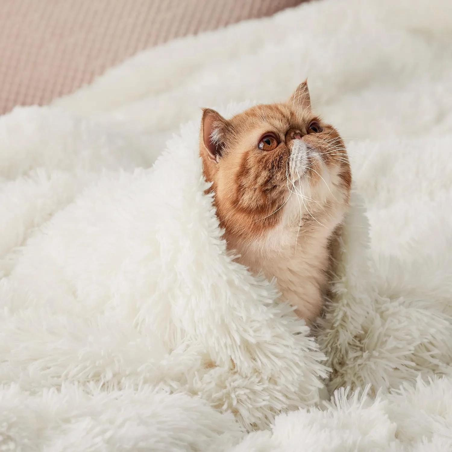 Bedsure Fluffy Cream Throw Blanket Gifts for Women, Men, Soft Fleece Cozy Fuzzy Sherpa Plush Warm Minky Thick Faux Fur Throws for Couch, Bed, Cream Decor House Blanket Gifts for Mom Kids, 50x60