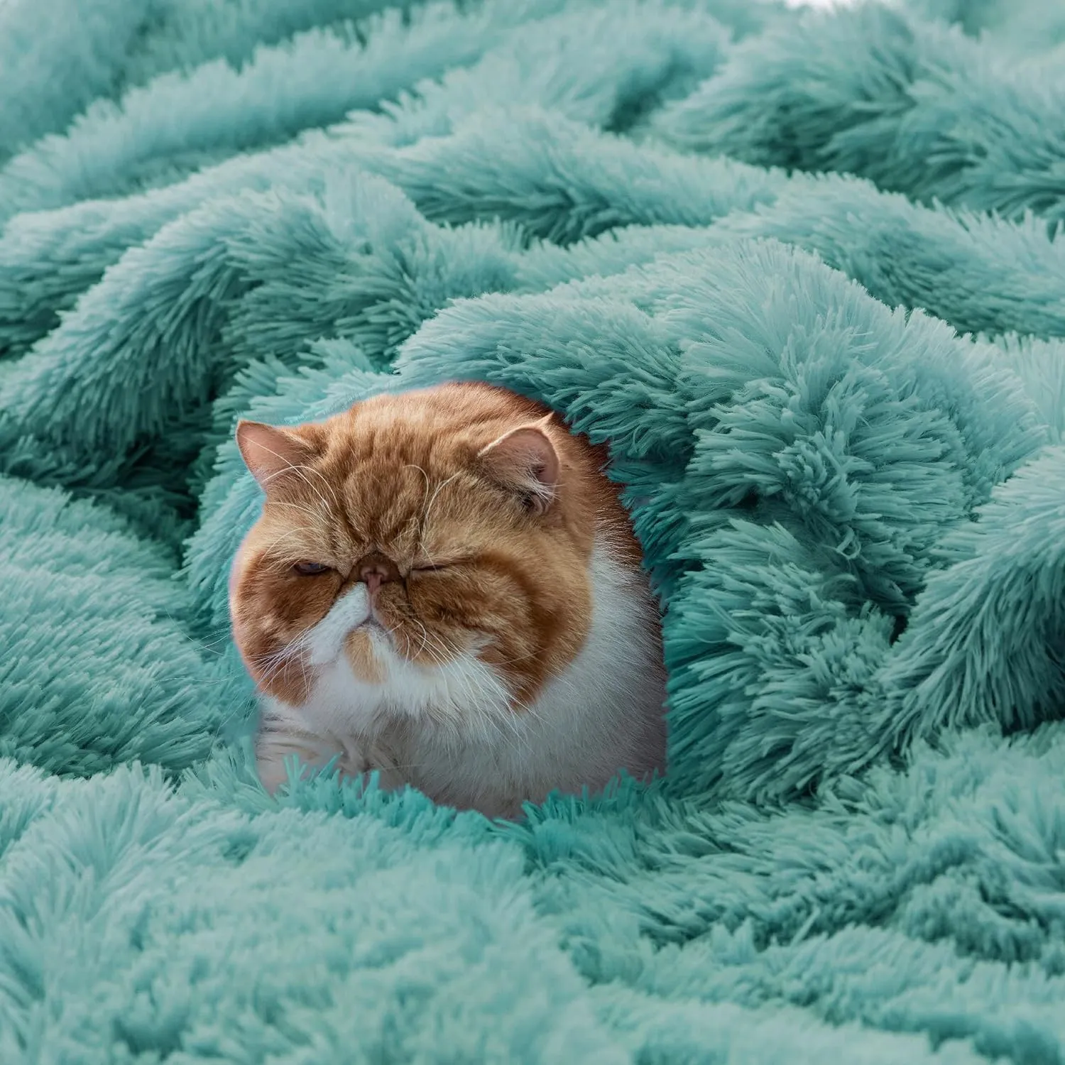 Bedsure Fluffy Green Throw Blanket Gifts for Women, Men, Soft Fleece Cozy Fuzzy Sherpa Plush Warm Minky Thick Faux Fur Throws for Couch, Bed, Green Decor House Blanket Gifts for Mom Dad, 50x60