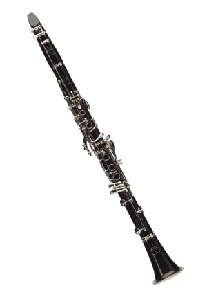 Buffet Crampon R13 A Clarinet