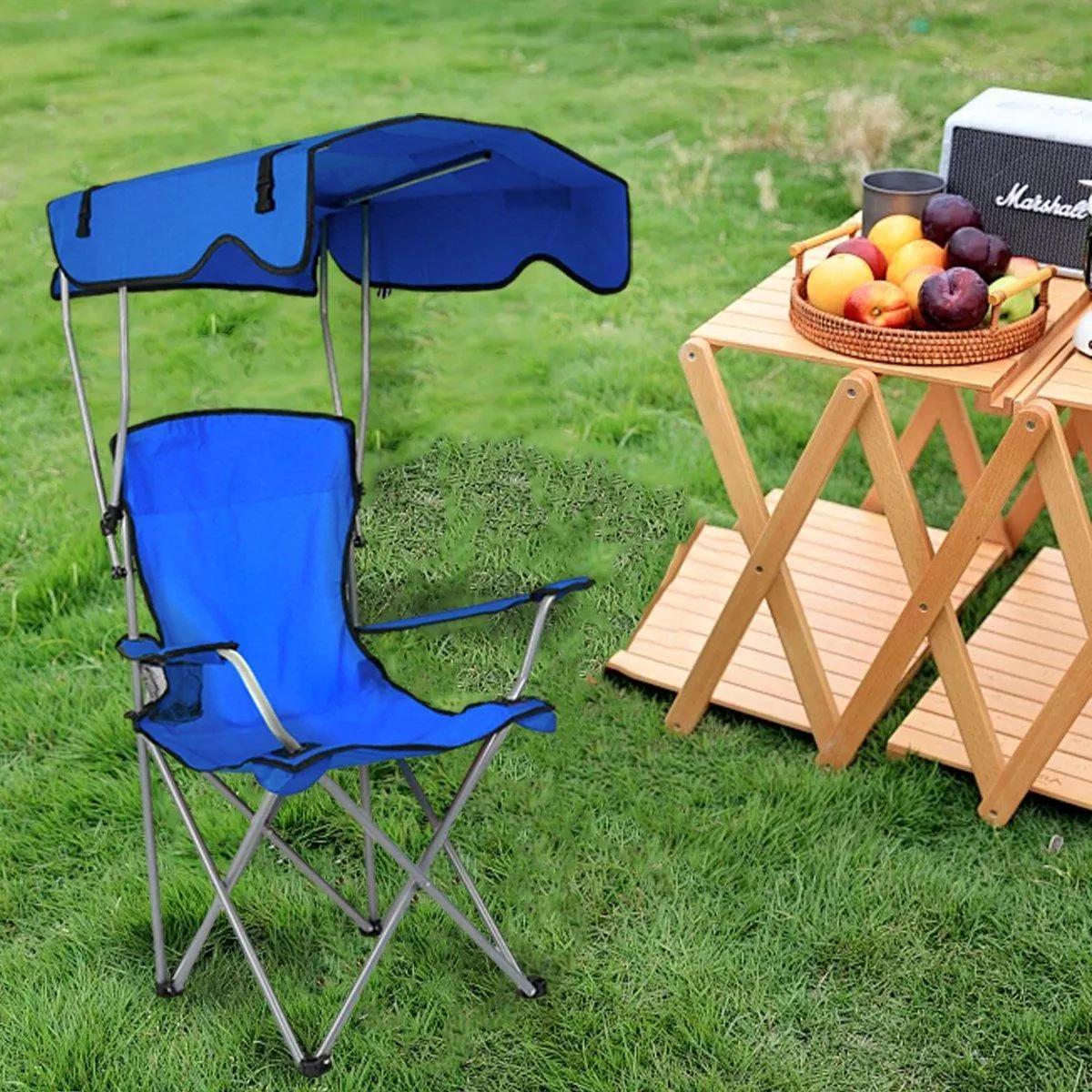 Canopy Chair Foldable W/ Sun Shade Beach Camping Folding Outdoor Fishing Blue