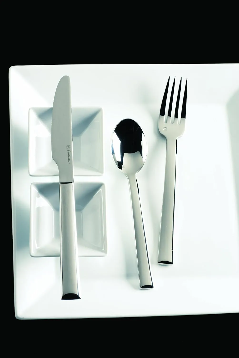 Fortessa Still 18/10 Stainless Steel Flatware Solid Handle Table Knife, Set of 12