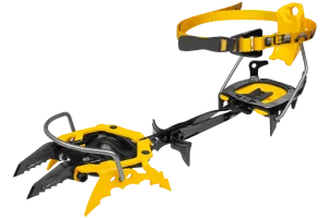G22 PLUS