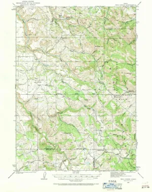 Hell Creek ID topo map, 1:62500 Scale, 15 X 15 Minute, Historical, 1924, Updated 1971, 20.8 x 17 in