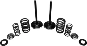 Kibblewhite Precision Intake Only Stainless Conversion Valve/Spring Kit 30-31210