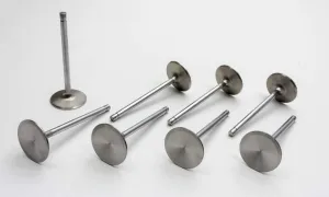 Manley Intake Valve, Severe Duty, 2.250 in Head, 0.309 in Valve Stem, 5.424 in Long, Stainless, Mopar 426 Hemi, Set of 8