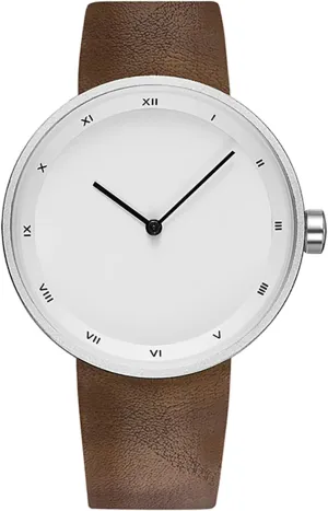 Men's and Women's Universal Watch Fashion Minimalist Style Large dial Quartz Belt Roman Numerals Waterproof Watch