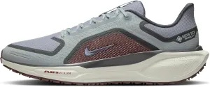 Nike Pegasus 41 Gore-TEX Men's Waterproof Road Running Shoes (FQ1356-003, Light Pumice/Burgundy Crush/Dark Smoke) Size 11