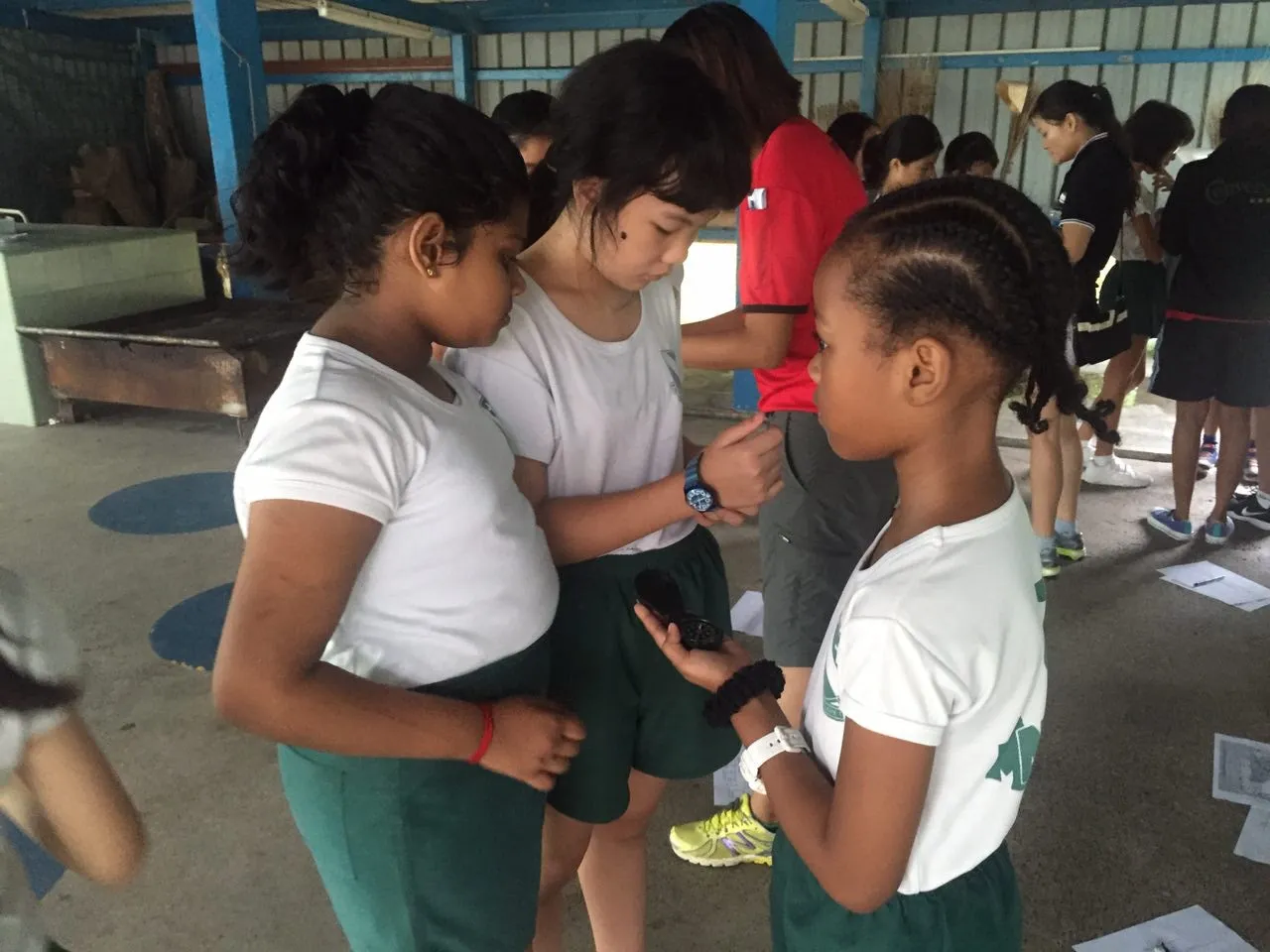 Orienteering