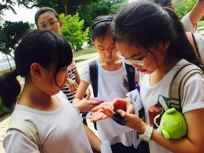Orienteering