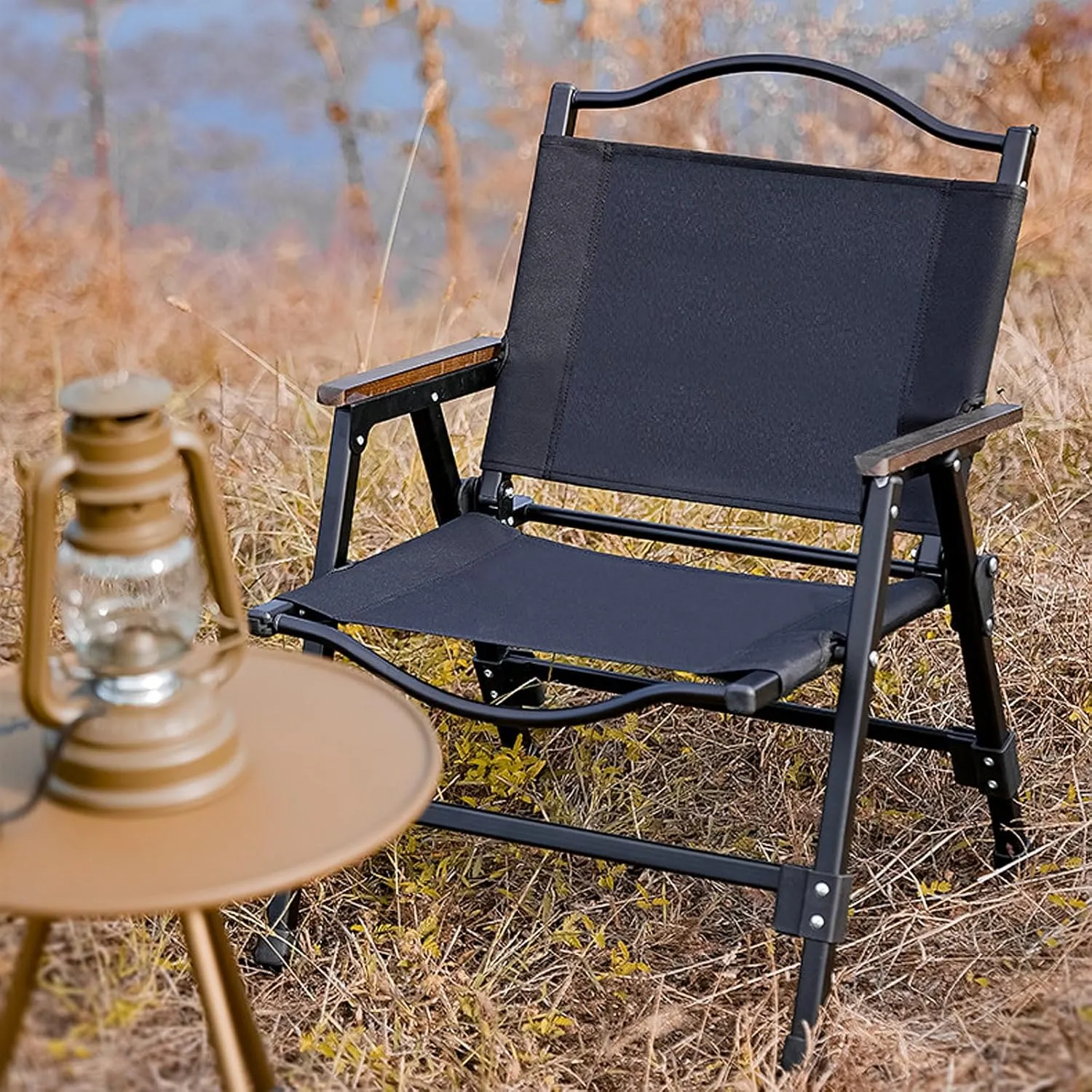 Portable Camping Chairs for Adults with Padded Hard Armrest Sturdy Folding Chair Cushion Lawn Arm Rest Beech Handrail Outdoor Patio Beach Fishing-Noir