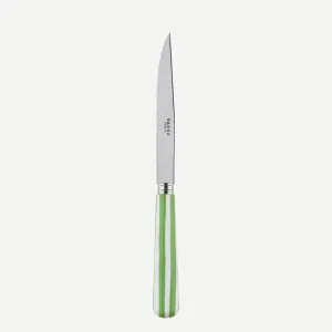Sabre White Stripe Garden Green 23cm Steak Knife