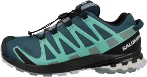 Salomon Women's XA Pro 3D V8 GORE-TEX Trail Running Shoes