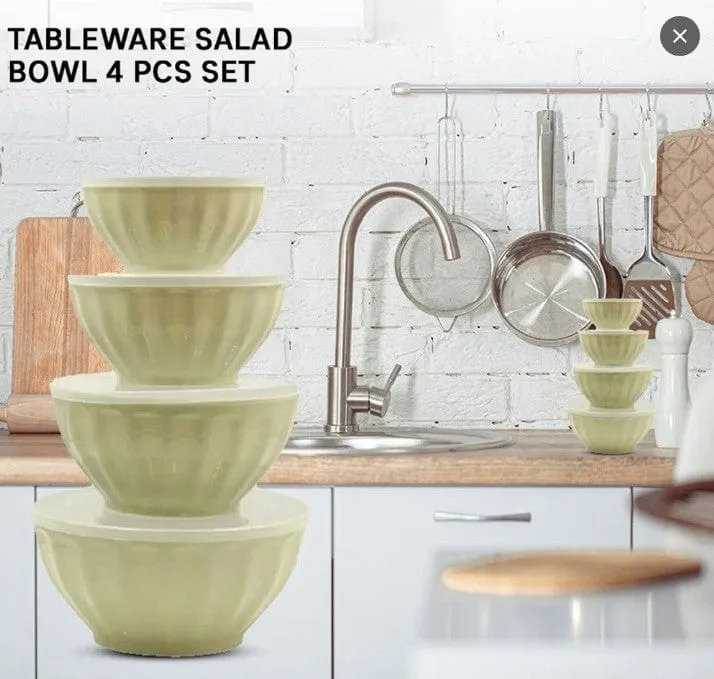 Tableware Salad Bowl 4 Pcs Set