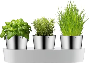 WMF Gourmet herb Garden Set, 3-Piece