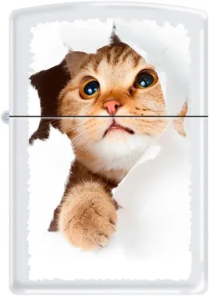 Zippo Lighter-Cat Pet Animal Windproof Lighter Kitty Cat Inside Hole #Z5564
